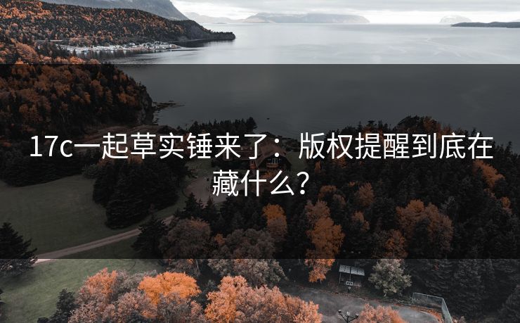17c一起草实锤来了：版权提醒到底在藏什么？