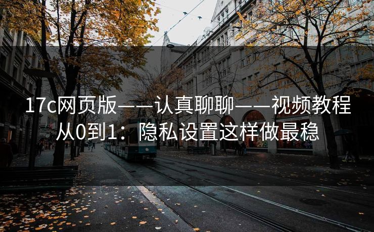 17c网页版——认真聊聊——视频教程从0到1：隐私设置这样做最稳