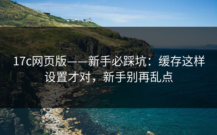17c网页版——新手必踩坑：缓存这样设置才对，新手别再乱点